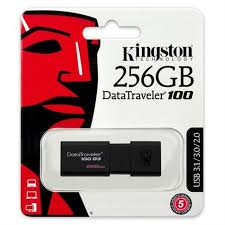 Kingston USB Flash Drive 256GB